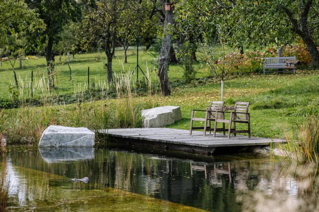 Architektka jim rozmluvila pergolu: místo ní mají živý strop z lip a samočisticí jezero