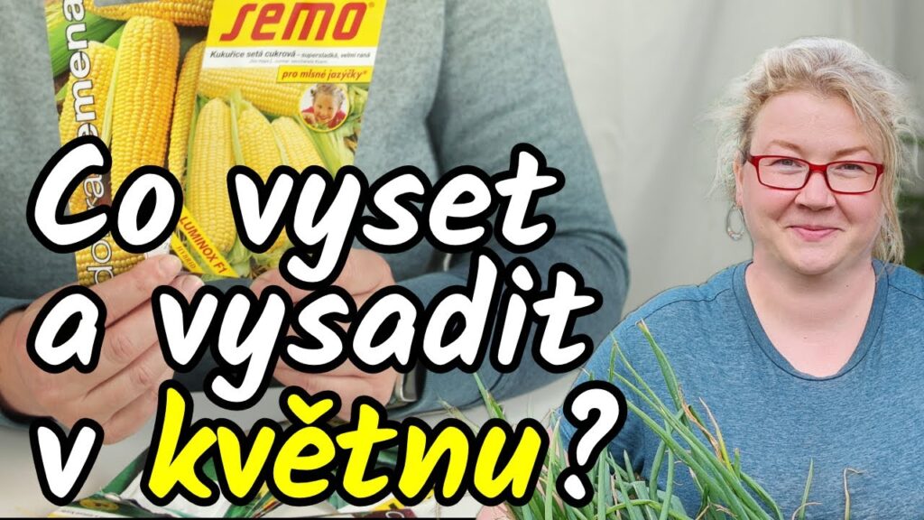 Výsadba po zmrzlých: které sazenice mohou ven dřív a které ještě nechte v teple